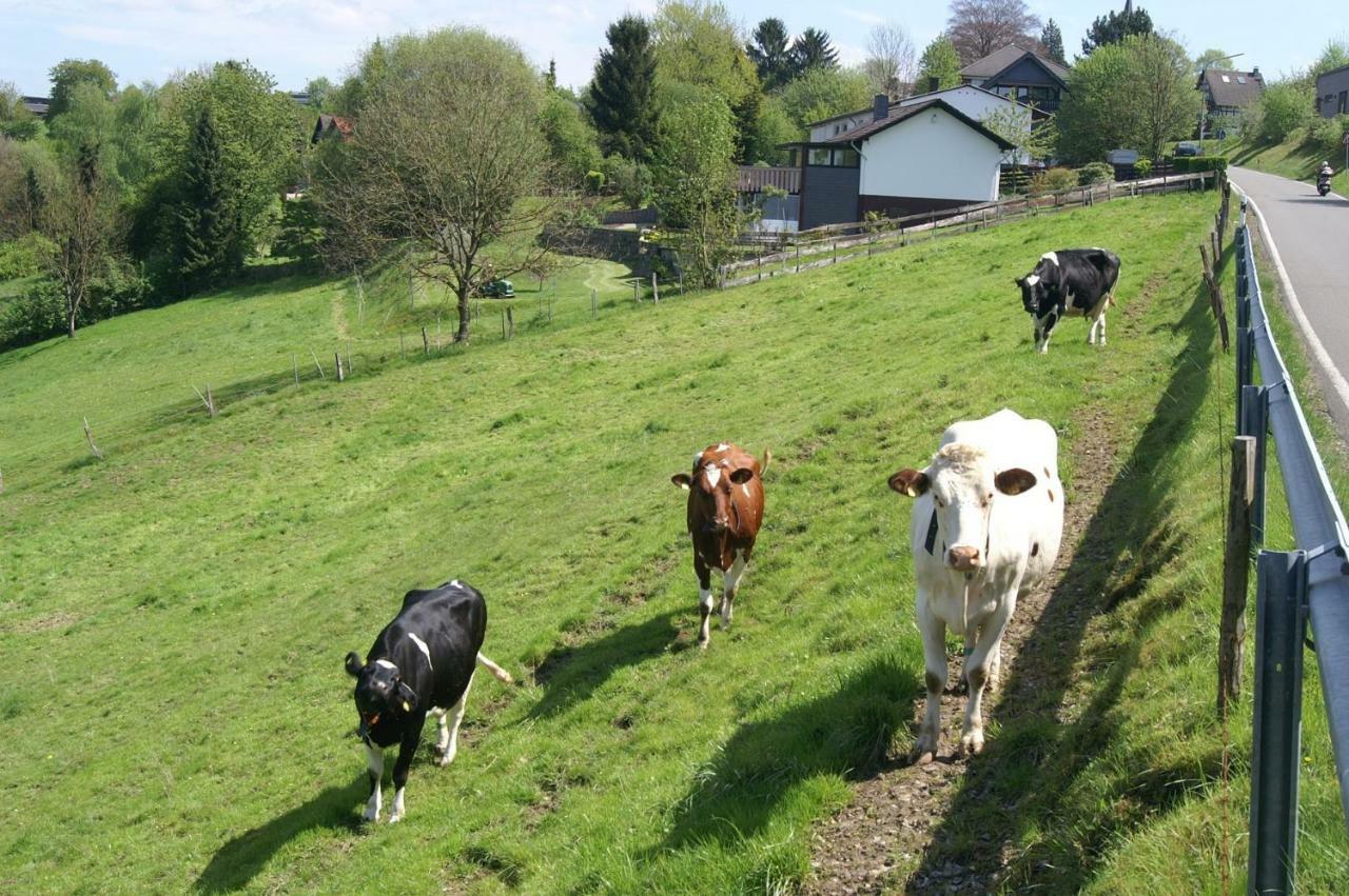 Pension Oberberg Hotel ลินด์ลาร์ ภายนอก รูปภาพ